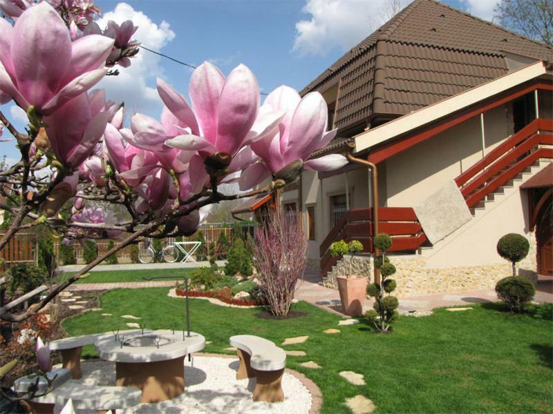 Szegfű Apartman Villa Hajdúszoboszló Kültér fotó